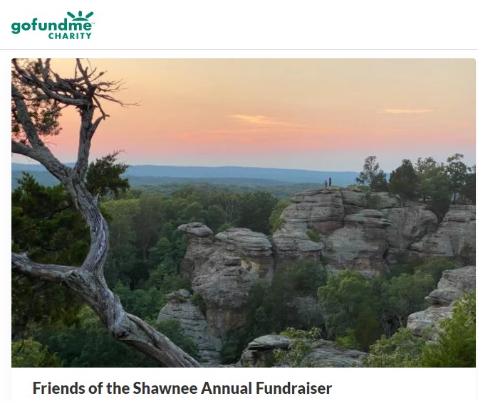 newsletter-fall-2020-d
