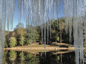 Polar Plunge Polar Plunge